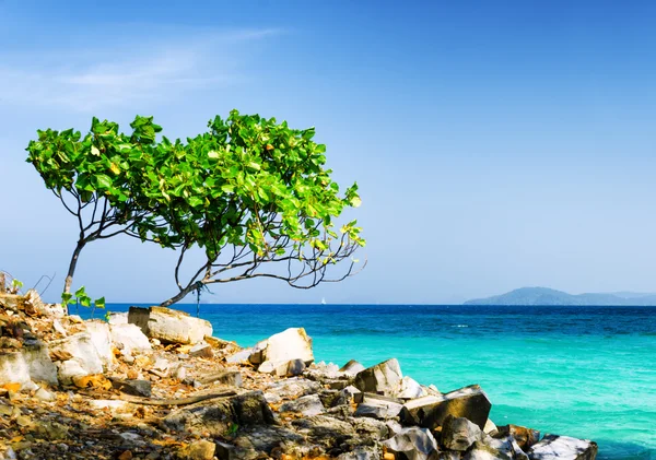 Clear water and blue sky — Stock Photo, Image