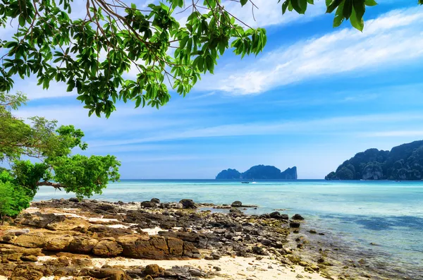 Paisaje tropical. Isla Phi-phi, Tailandia — Foto de Stock