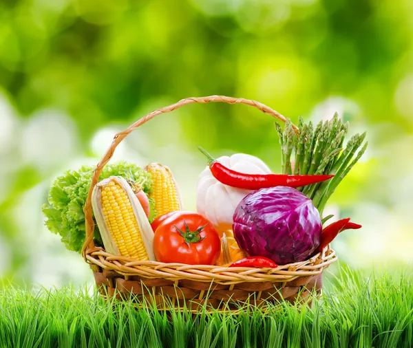 Frisches Gemüse im Korb auf grünem Gras. — Stockfoto