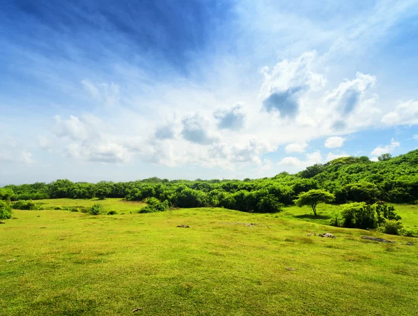 Green hill and blue sky — Stock Photo, Image