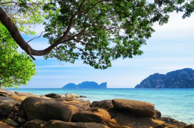 tropikal peyzaj. Phi phi Island, Tayland