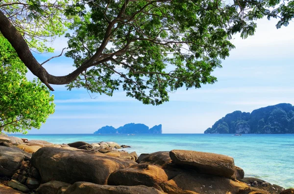 Tropikalny krajobraz. wyspy Phi-phi, Tajlandia — Zdjęcie stockowe