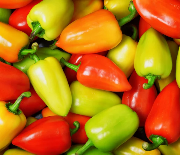 新鲜甜辣椒。蔬菜背景 — 图库照片