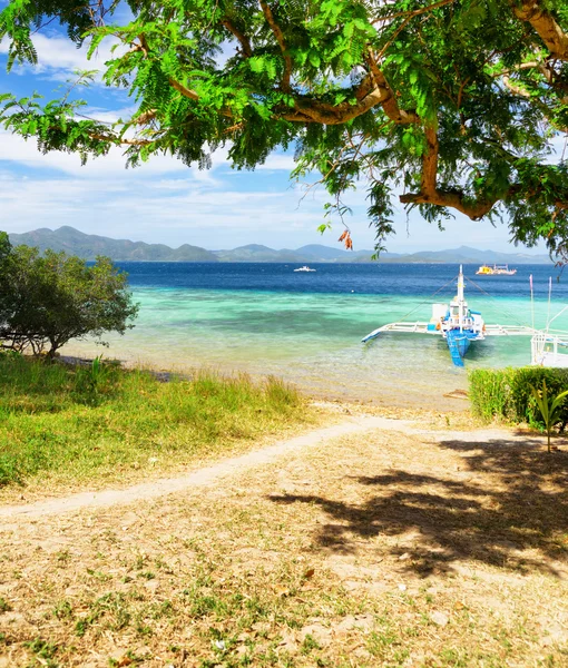 해변에 녹색 나무입니다. malcapuya 섬, 필리핀 — 스톡 사진