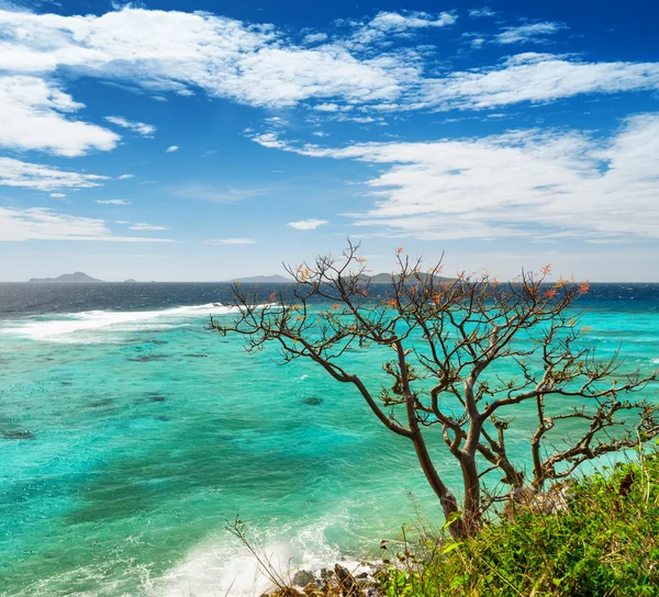Praia de areia branca. Ilha Malcapuya, Filipinas — Fotografia de Stock