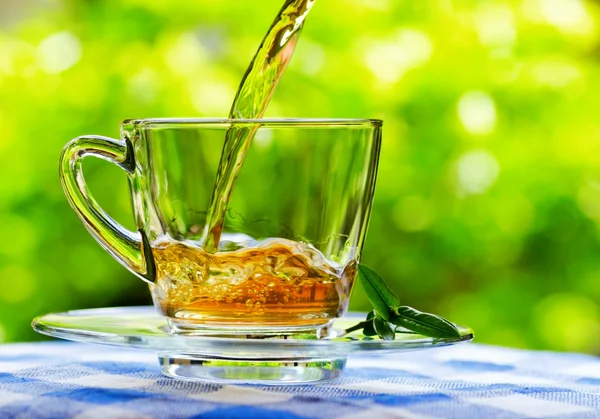 Tasse Tee auf Natur Hintergrund — Stockfoto