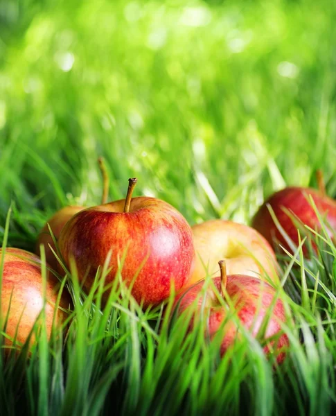 Red apples on green grass — Stock Photo, Image