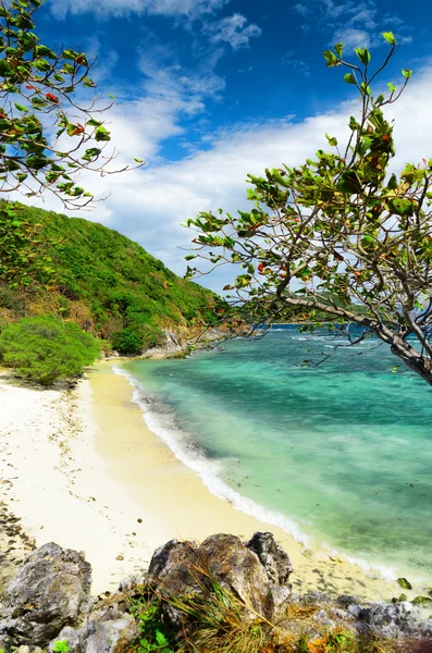 Playa de arena blanca. Isla Malcapuya, Filipinas —  Fotos de Stock