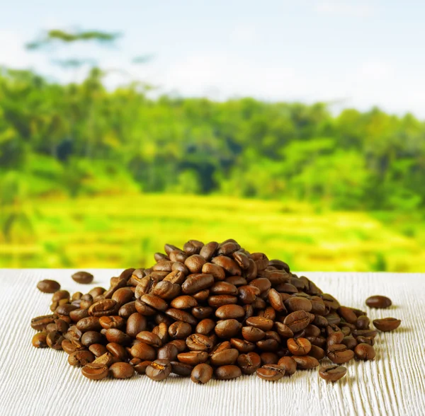 Coffee beans on highlands background — Stock Photo, Image