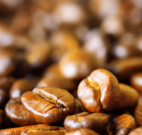 Roasted arabica. Close-up of coffee beans — Stock Photo, Image