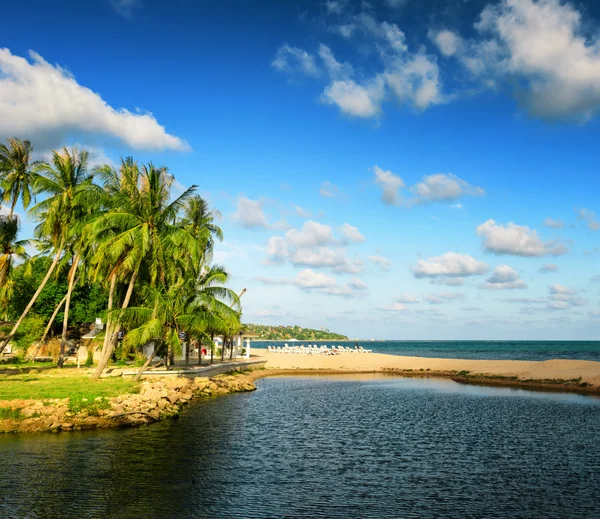 Mooi tropisch landschap. eiland van Samui, thailand — Stockfoto