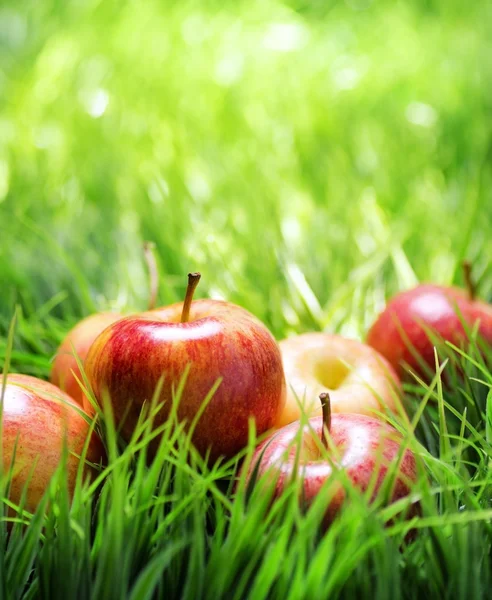 Yeşil çimlerde kırmızı elmalar — Stok fotoğraf