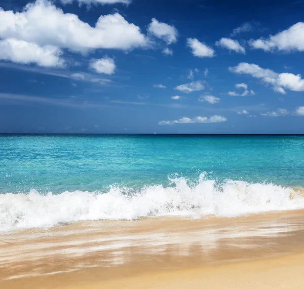 Vacker tropisk strand och blå himmel — Stockfoto