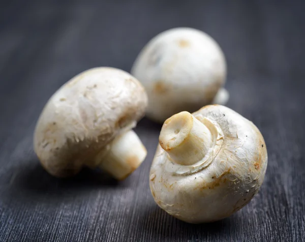 Fresh champignons on black wooden board — Stock Photo, Image