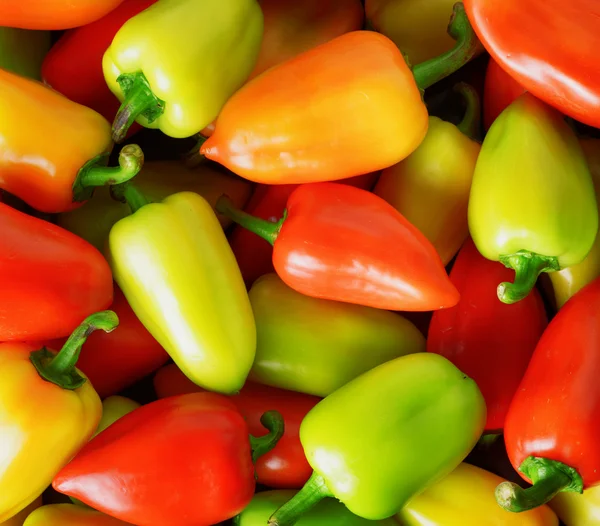 Fresh sweet peppers. Vegetable background — Stock Photo, Image