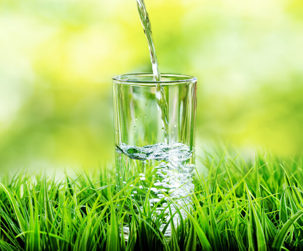 Glass of water on nature background