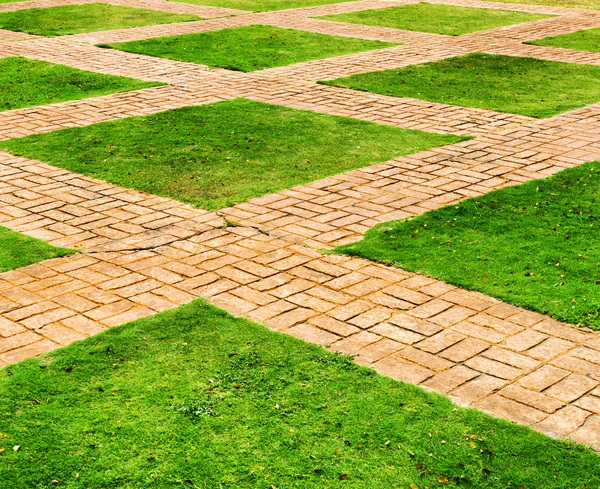 Green grass and brick paths — Stock Photo, Image