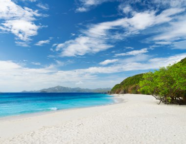 beyaz kum plaj. malcapuya Adası, Filipinler