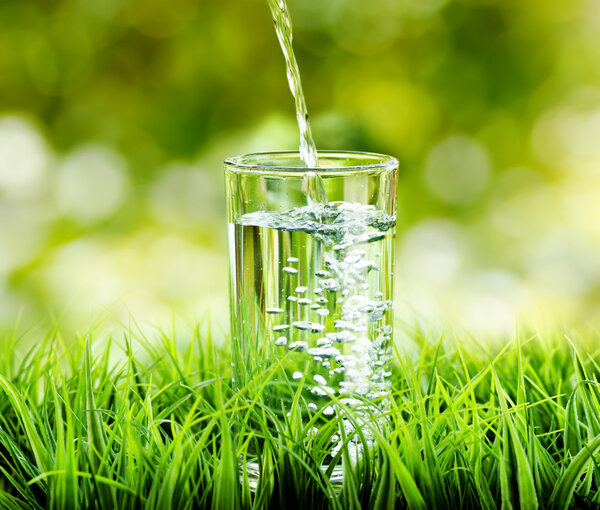 Glass of water on nature background