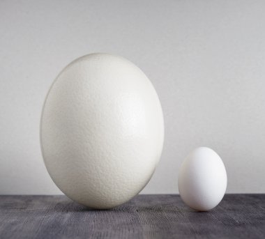 Devekuşu yumurta ve tavuk yumurta kara tablo