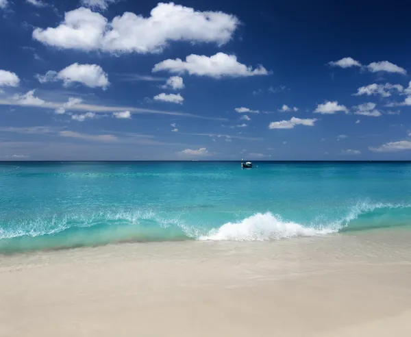 Hermosa playa tropical y cielo azul —  Fotos de Stock