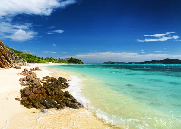 beyaz kum plaj. malcapuya Adası, Filipinler