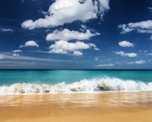 Bella spiaggia tropicale e cielo blu — Foto Stock