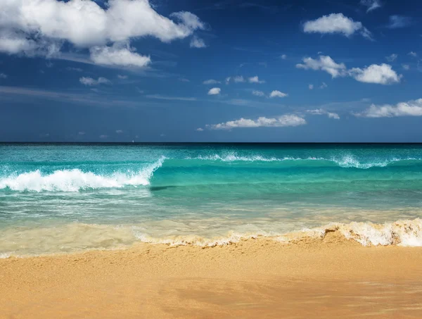 Beautiful tropical beach and blue sky — Stock Photo, Image