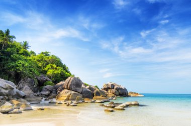 güzel tropikal peyzaj. Samui Adası, Tayland