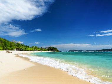 beyaz kum plaj. malcapuya Adası, Filipinler