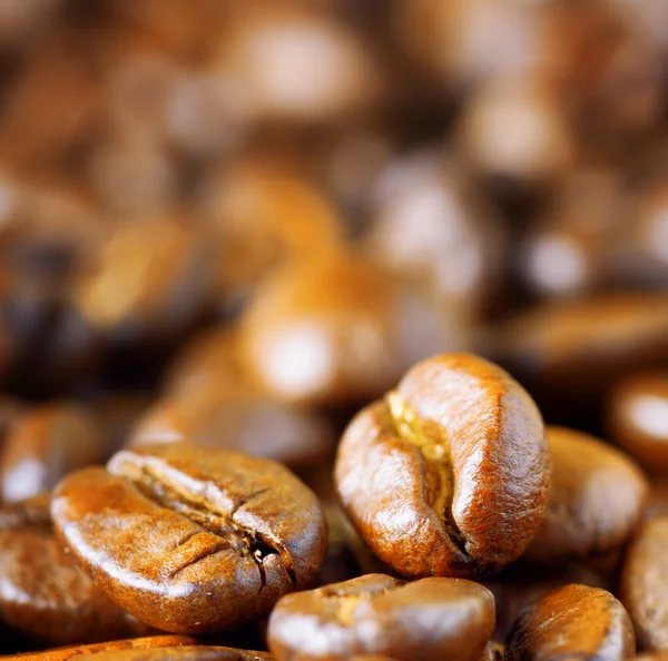 Roasted arabica. Close-up of coffee beans — Stock Photo, Image