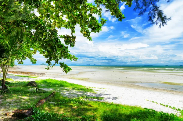 Bela paisagem tropical. Samui Island, Tailândia — Fotografia de Stock