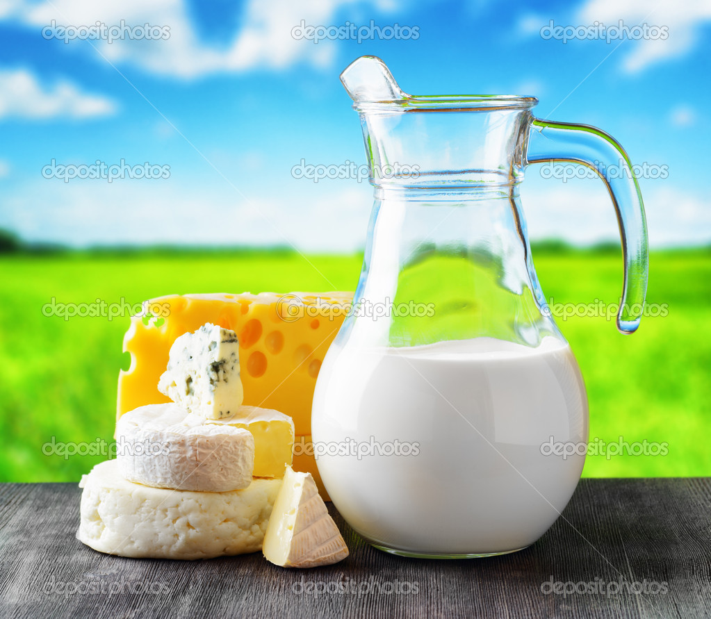 Different types of cheese on nature background