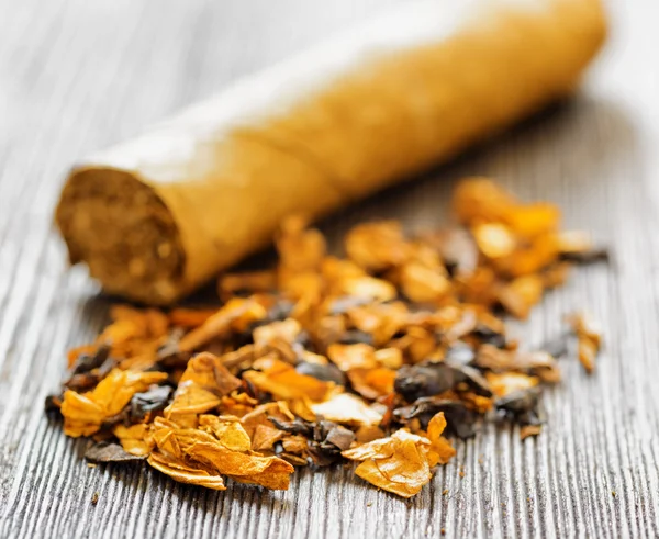 Tobacco and cigar — Stock Photo, Image