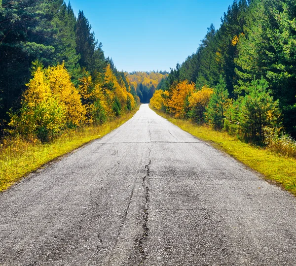 Road in golden autumn forest — Stock Photo, Image