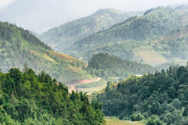 Sapa Bölgesi 'nin dağlık kesimlerinde, Lao Cai Eyaleti, Vietnam. Bulutlu gökyüzü ve Hoang Lien Dağları arka planda görünür. Sa Pa Asya 'nın popüler bir turistik beldesidir..
