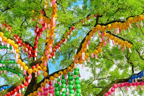 Seoul South Korea October 2017 Awesome Colorful View Green Tree — Stock Photo, Image