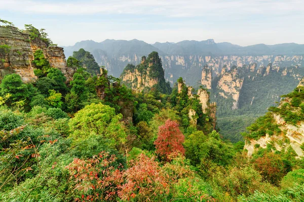 Υπέροχη Θέα Των Φυσικών Πυλώνων Χαλαζία Ψαμμίτη Των Βουνών Tianzi — Φωτογραφία Αρχείου