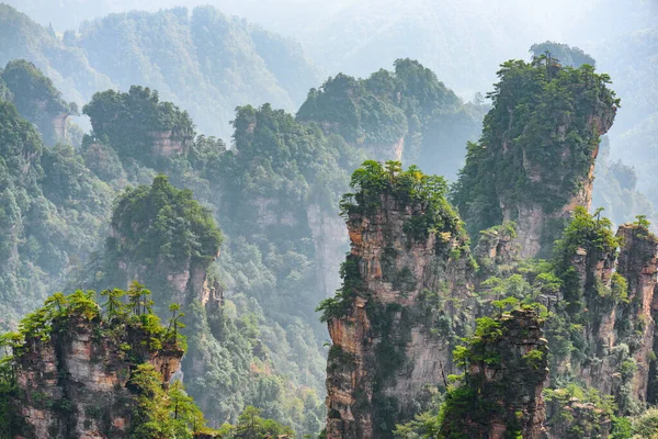 Úžasný Pohled Přírodní Křemenné Pískovcové Pilíře Pohoří Tianzi Avatar Mountains — Stock fotografie