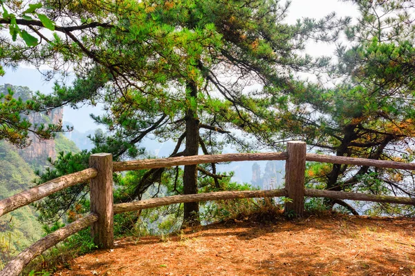 天池山 アバター山脈 張家界国立森林公園 湖南省 中国の常緑樹の間の風景テラス — ストック写真