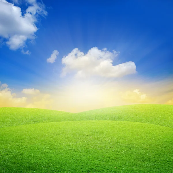 Campo verde con cielo azul — Foto de Stock