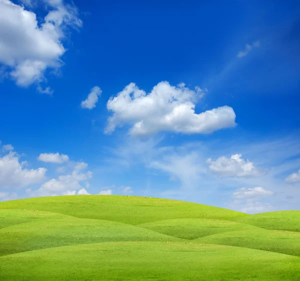 Campo verde con cielo azul —  Fotos de Stock