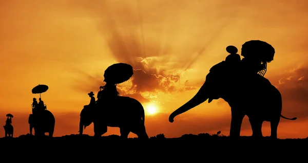 Elephant silhouette in thailand — Stock Photo, Image