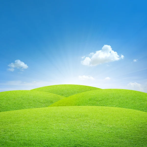 Grönt fält med blå himmel — Stockfoto