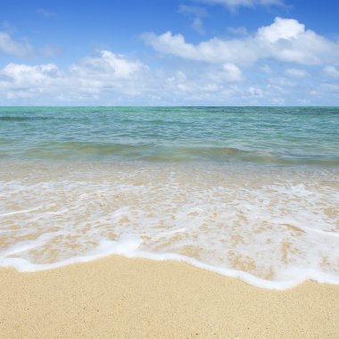 Mavi gökyüzü olan tropik plaj 