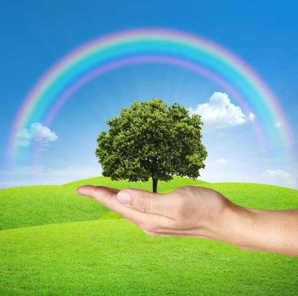 Un árbol en manos humanas con cielo azul y arco iris —  Fotos de Stock