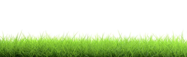 Illustration Panorama Greasy Green Grass Cut Out Isolated White Background — Stock Photo, Image