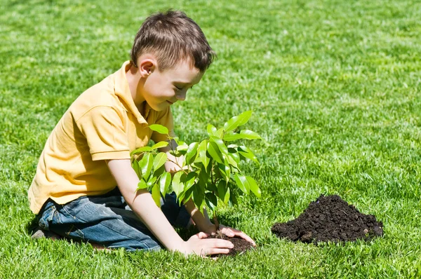 Kinderen — Stockfoto