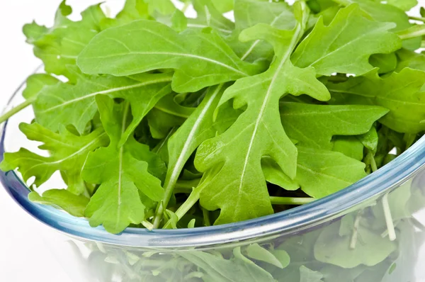 Rucola — Stockfoto