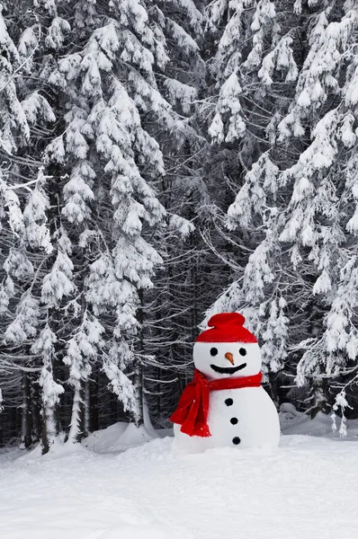 Snowman — Stock Photo, Image